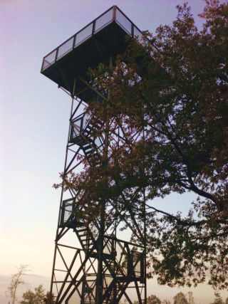 Quitmannsturm auf dem Kohlberg quittmann